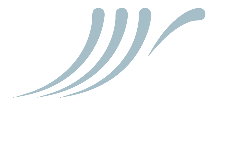 imalens
